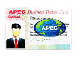 Vietnam APEC Business Travel Card 3x4 cm