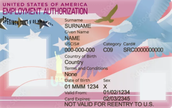 US Employment Authorization 2x2 inch (51x51 mm)